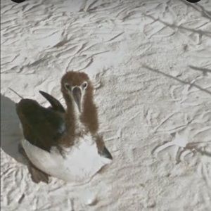 Meet your Posher, Alysa